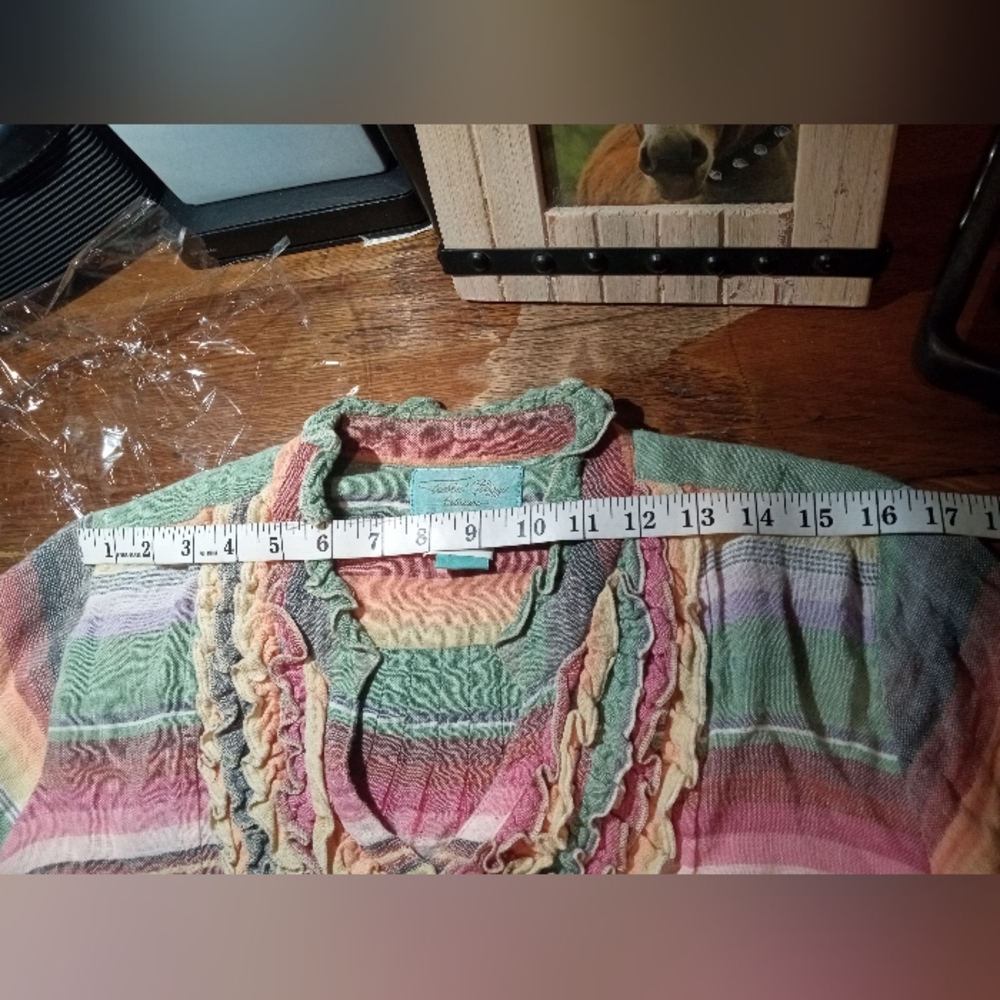 Tasha Polizzi Multicolor Striped Button Down Shirt - Picture 11 of 12